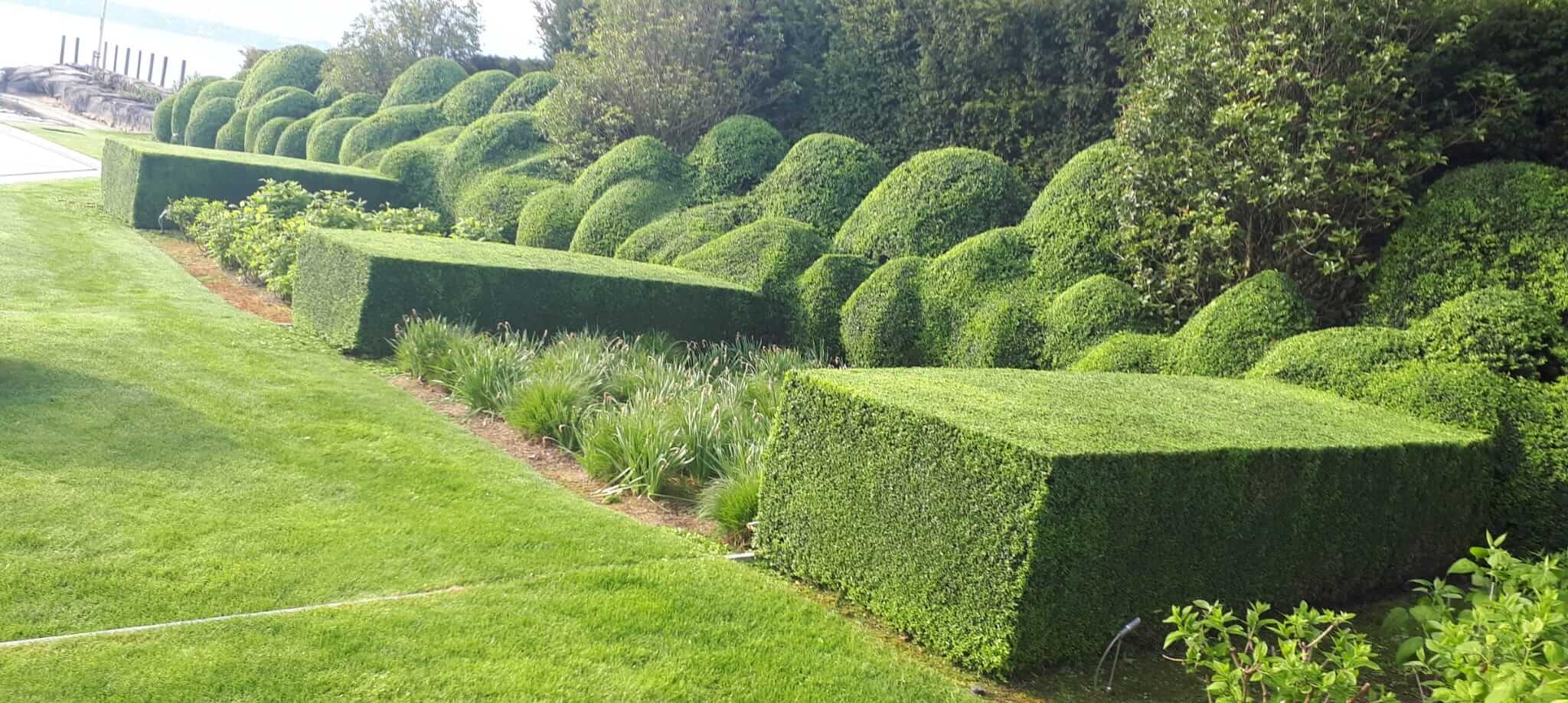Paysage d'un jardin à Moudon fait par un paysagiste suisse