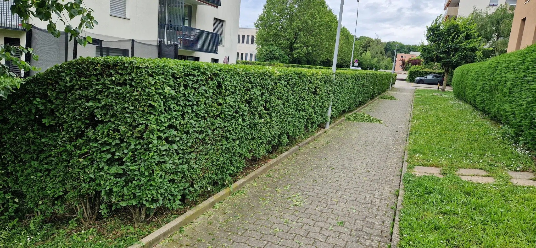 jardinier paysagiste Pully