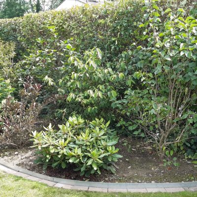 WhatsApp Image 2022-04-27 at 13.34.24 (10)