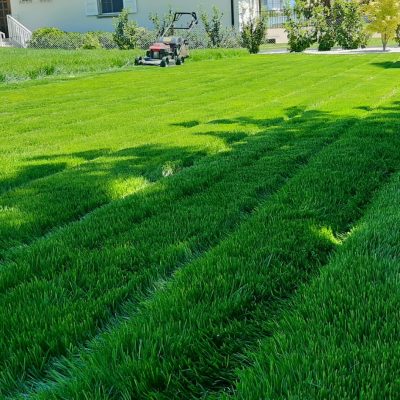 WhatsApp Image 2022-04-27 at 13.34.24 (11)