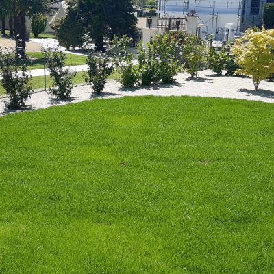 WhatsApp Image 2022-04-27 at 13.34.24 (12)