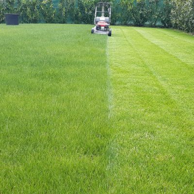 WhatsApp Image 2022-04-27 at 13.34.24 (14)