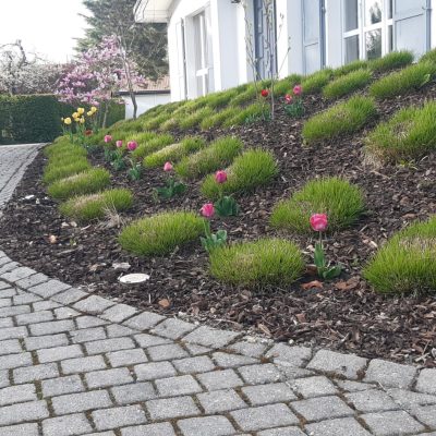 WhatsApp Image 2022-04-27 at 13.34.24 (8)