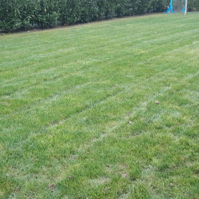 WhatsApp Image 2022-04-27 at 13.34.24 (9)