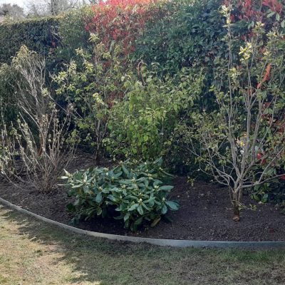 WhatsApp Image 2022-06-03 at 15.42.12