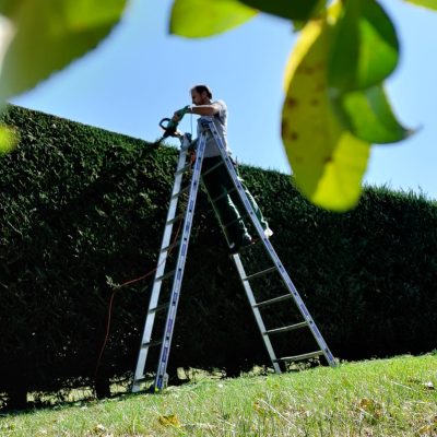 WhatsApp Image 2022-06-03 at 15.42.16