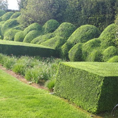 WhatsApp Image 2022-06-03 at 20.03.38 (2)