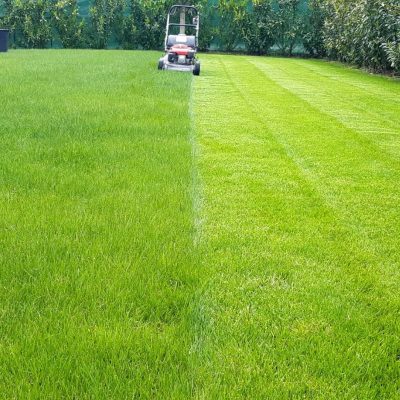 entretien-jardin-lausanne