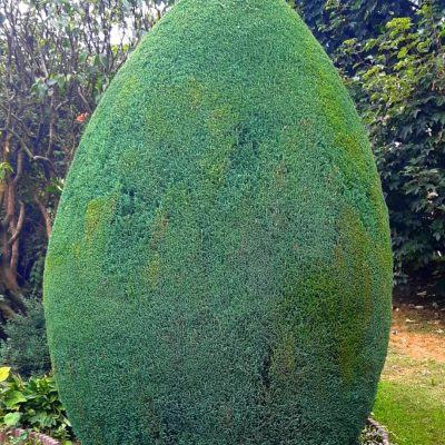 entretien-jardin-rolle