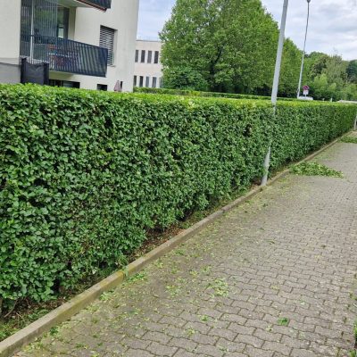 jardinier-paysagiste-moudon