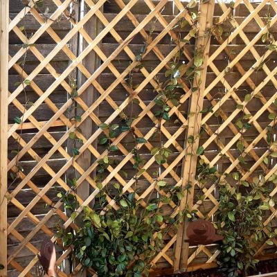 Un travail de paysagisme à Rolle avec du bois et des plantes