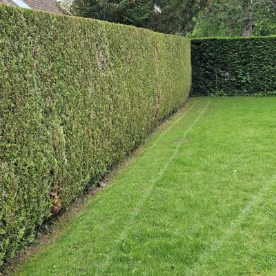 jardinier-paysagiste-vaud