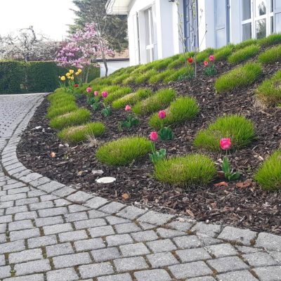 Jardin à rolle avec des arbustes